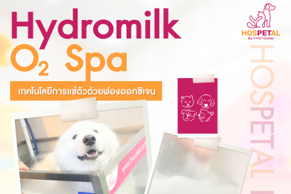 ปกสปาไฮโดรมิลค์