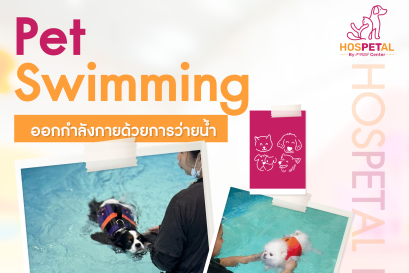 ปกว่ายน้ำ