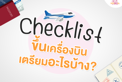 พาหมาแมวขึ้นเครื่องบิน2