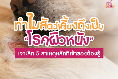 5 สาเหตุที่ทำให้สัตว์เลี้ยงเราเป็นโรคผิวหนัง