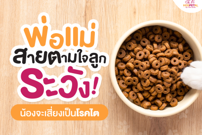 รักษาโรคไตในสัตว์เลี้ยง