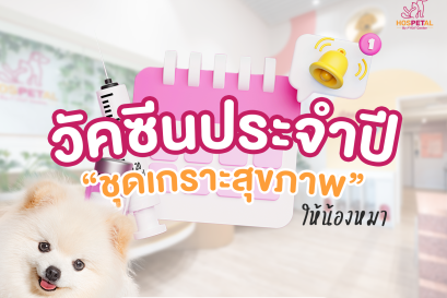 วัคซีนประจำปีหมา