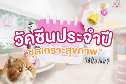 วัคซีนประจำปีแมว