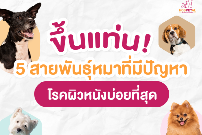 5 สายพันธุ์สุนัขที่มีปัญหาผิวหนัง