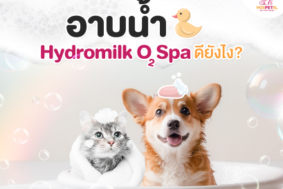 สปาน้ำนมดีกับสัตว์เลี้ยงยังไง