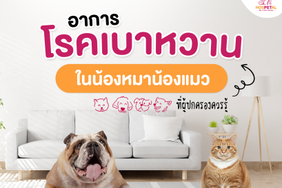 โรคเบาหวาน-หมาแมว1