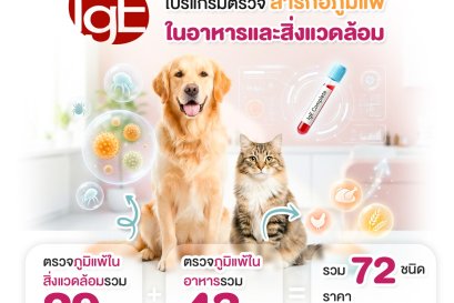 ตรวจภูมิแพ้ผิวหนังสุนัขแมว