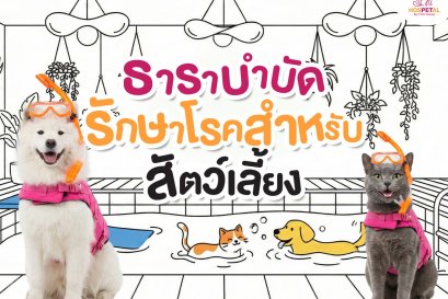 สระว่ายน้ำสุนัข กายภาพบำบัดสุนัข Hospetal By PRS Center