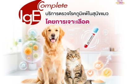  โรงพยาบาลสัตว์โรคผิวหนังใกล้ฉัน พระราม 9