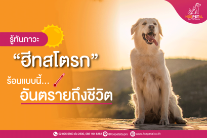 ฮีทสโตรก