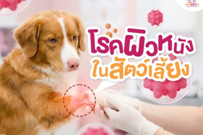 โรคผิวหนังในสัตว์เลี้ยง -โรงพยาบาลสัตว์ hospetal by prs center