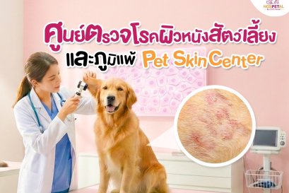  ศูนย์ตรวจโรคผิวหนังสัตว์เลี้ยงและภูมิแพ้ Pet Skin Center - โรงพยาบาลสัตว์ hospetal by prs centerโรงพยาบาลสัตว์ hospetal by prs center