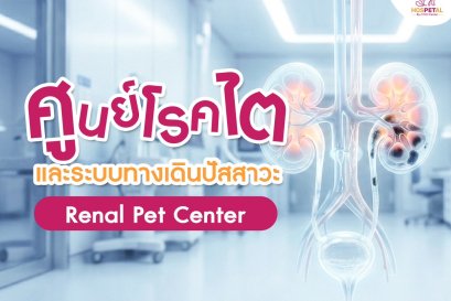 ศูนย์โรคไตและระบบทางเดินปัสสาวะสัตว์เลี้ยง Renal Pet Center - โรงพยาบาลสัตว์ HOSPETAL By PRS Center