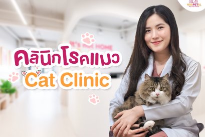 คลินิกโรคแมว Cat Clinic - โรงพยาบาลสัตว์ hospetal by prs center