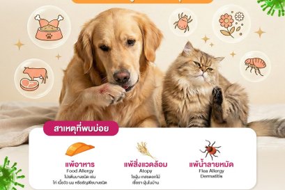 รงพยาบาลสัตว์ HOSPETAL By PRS Center ถนนพระราม 