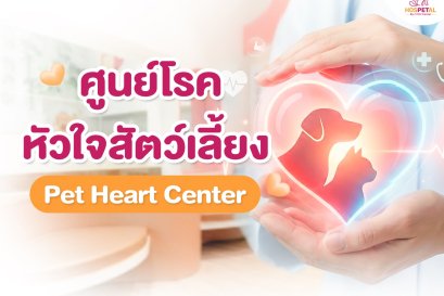 โรคหัวใจสุนัข โณคหัวใจแมว รักษา
