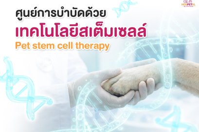 สเต็มเซลล์รักษาข้อกระดูกสุนัข โรงพยาบาลสัตว์ Hospetal By prs center
