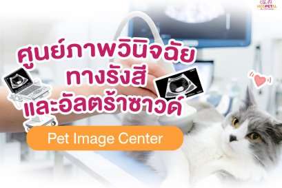 ศูนย์ภาพวินิจฉัยทางรังสี และอัลตร้าซาวด์ Pet Image Center - โรงพยาบาลสัตว์ hospetal by prs center