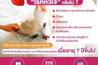 โรคหัวใจในหมา