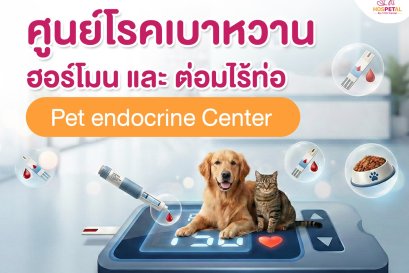 ศูนย์โรคเบาหวานฮอร์โมนต่อมไร้ท่อสัตว์เลี้ยง Pet endocrine Center - โรงพยาบาลสัตว์ HOSPETAL By PRSCenter