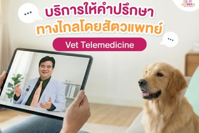 บริการให้คำปรึกษาออนไลน์โดยสัตวแพทย์ เพื่อช่วยประเมินสถานการณ์เบื้องต้นว่าอาการของสัตว์เลี้ยงมีความน่ากังวลแค่ไหน และควรดูแลอย่างไร ระหว่างการเตรียมตัวเดินทางมาพบสัตวแพทย์
