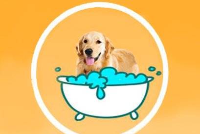 5 วิธีง่ายๆคลายร้อนให้น้องหมา