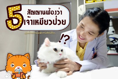 5 สัญญานฟ้องว่าเจ้าเหมียวป่วย