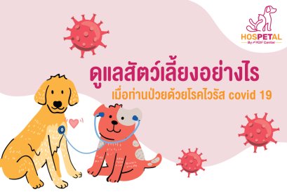 ข้อควรปฎิบัติกับสัตว์เลี้ยงเมื่อท่านป่วยด้วยโรค COVID-19