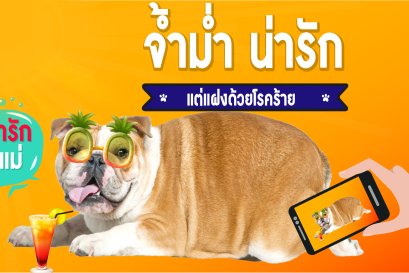 ตอนที่ 3 จ้ำม่ำ น่ารัก...แต่แฝงด้วยโรคร้าย