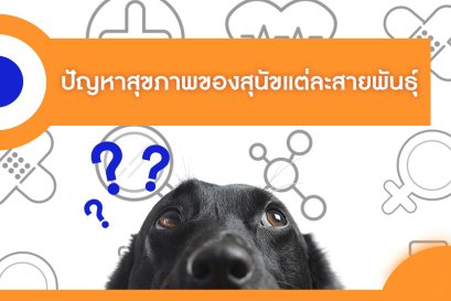 ปัญหาสุขภาพของสุนัขแต่ละสายพันธุ์