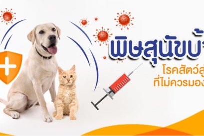 "พิษสุนัขบ้า" โรคสัตว์สู่คนที่ไม่ควรมองข้าม