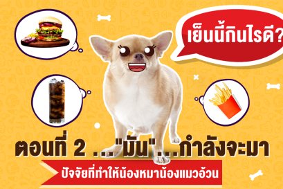 ตอนที่ 2 ..."มัน"...กำลังจะมา ปัจจัยที่ทำให้น้องหมาน้องแมวอ้วน