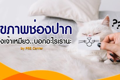 เพราะกลิ่นปากไม่ใช่เรื่องตลก..