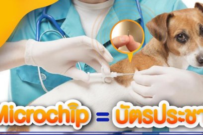 ไมโครชิพ Microchip สัตว์เลี้ยง คืออะไร ???