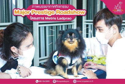 ภาพบรรยากาศงาน Major Prestige Roadshow ณ โครงการ Metris Ladprao