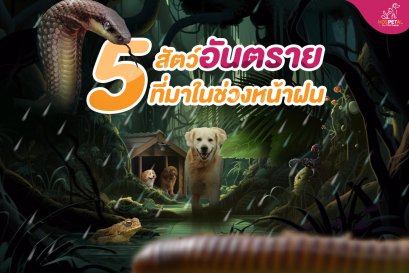 สัตว์มีพิษช่วงหน้าฝน