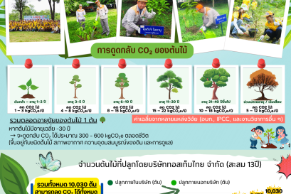 TOSTEM Thailand Tree Planting Activity