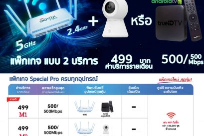 โปรเน็ตบ้านทรูไฟเบอร์ 499 ความเร็ว 500/500 พร้อมกล่องทีวี 
