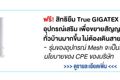 รายละเอียดอุปกรณ์ mesh wifi true