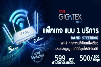 แพ็คเกจเน็ตบ้านทรู แบบ 1 บริการ