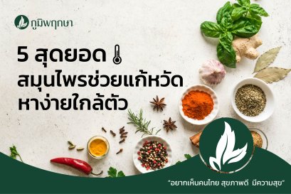 5 สุดยอดสมุนไพรช่วยแก้หวัด หาง่ายใกล้ตัว