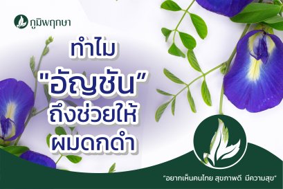 ทำไม "อัญชัน” ถึงช่วยให้ผมดกดำ