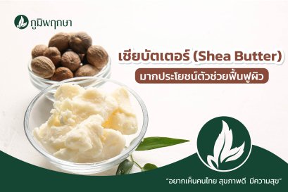 เชียบัตเตอร์ (Shea butter) มากประโยชน์ตัวช่วยฟื้นฟูผิว