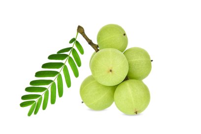 มะขามป้อม (Indian gooseberry)