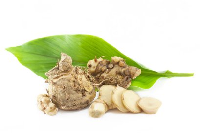 ว่านชักมดลูก