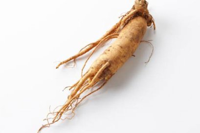 โสม (Ginseng)
