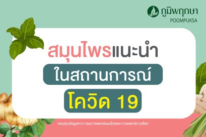สมุนไพรแนะนำ ในสถานการณ์โควิด 19