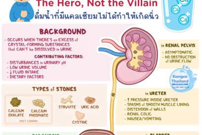 Calcium: ฮีโร่ผู้ถูกเข้าใจผิด