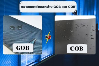 ความแตกต่างระหว่าง GOB และ COB 