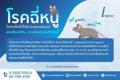 โรคฉี่หนู